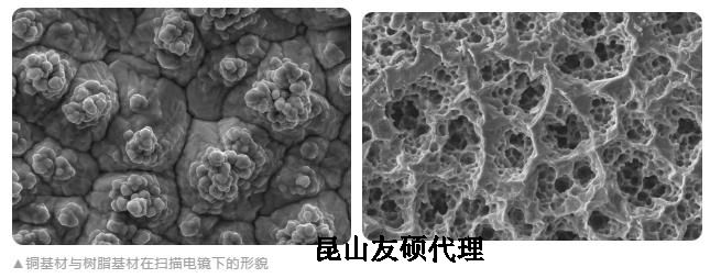 黄南蔡司黄南扫描电镜